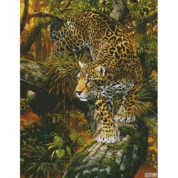 High Intensity (Large) (Al Agnew)
