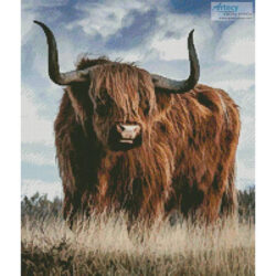 Highland Bull (Crop) (Ron Berg)