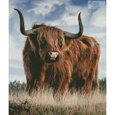 Highland Bull (Crop) (Ron Berg)