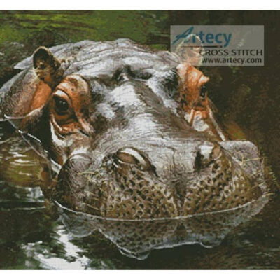 Hippo Reflection (Timothy Lubcke - Fotolia)