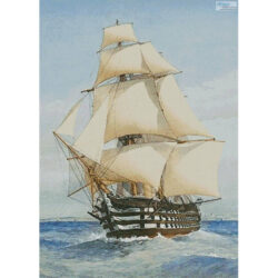 HMS Victoria (William Frederick Mitchell)