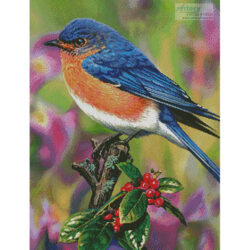 Hollyberry Bluebird (Russell Cobane)