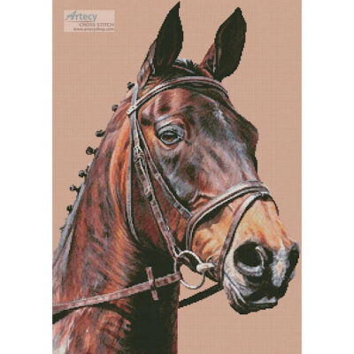 Horse Portrait (Lisa Ann Watkins)