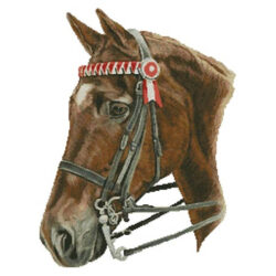 Horse Profile (Helen Chugg)