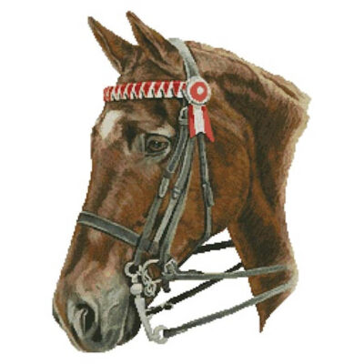 Horse Profile (Helen Chugg)
