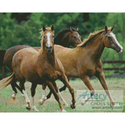 Horses 3 (www.photostogo.com)