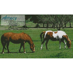 Horses Photo (www.photos.com)