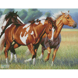 Horses Running (Cynthie Fisher)