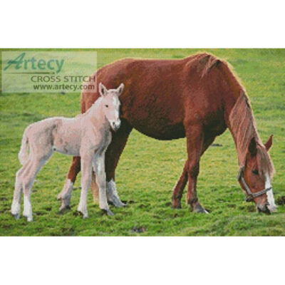 Horse with Foal (Jose Manuel Gelpi - Fotolia)