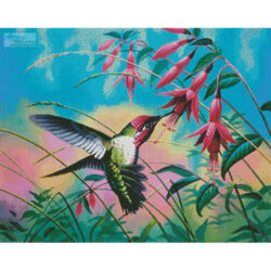 Hummingbird (Cynthie Fisher)
