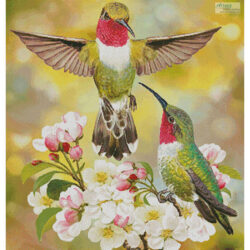Hummingbird Challenger (Rosiland Solomon)