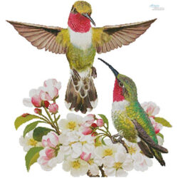 Hummingbird Challenger (No Background) (Rosiland Solomon)