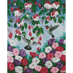 Hummingbird Heaven (Crista Forest)