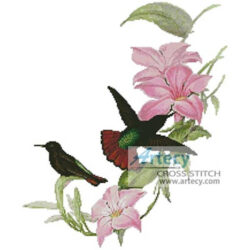 Hummingbirds