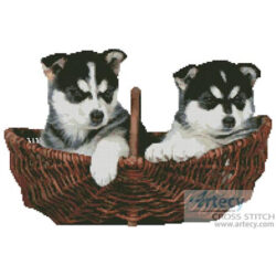 Husky Puppies (Fotowebbox - Fotolia)