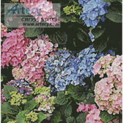 Hydrangeas (LadyofOz)