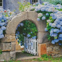 Hydrangeas Garden Gate (Large) (Xantana)