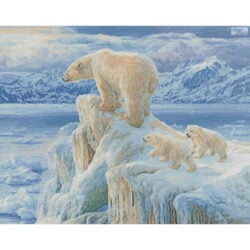 Ice Castle (Beth Hoselton)