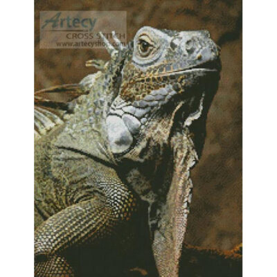 Iguana (Hans Braxmeier - Pixabay)