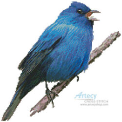 Indigo Bunting (Claire Harkness)