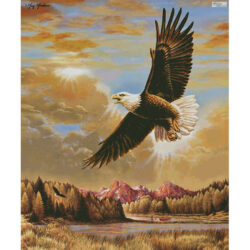 Inspirational Flying Eagle (Large) (Greg Giordano)
