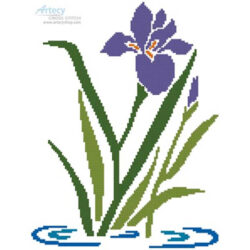 Iris (Joni Prittie)