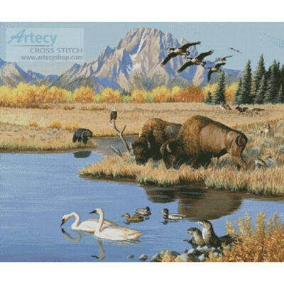 Jackson Hole (Cynthie Fisher)