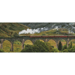 Jacobite Steam Train (Billy Pickett Photography)