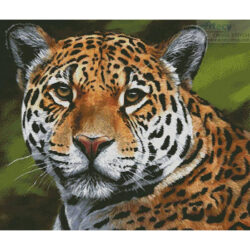 Jaguar Portrait (Jason Morgan)