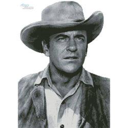 James Arness