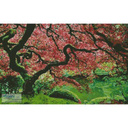 Japanese Maple (Emir Ibrahimpasic/National Geographic Society/Corbis)