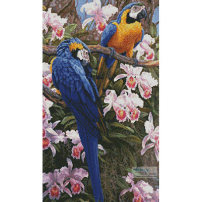 Jungle Majesty (Crop) (Beth Hoselton)