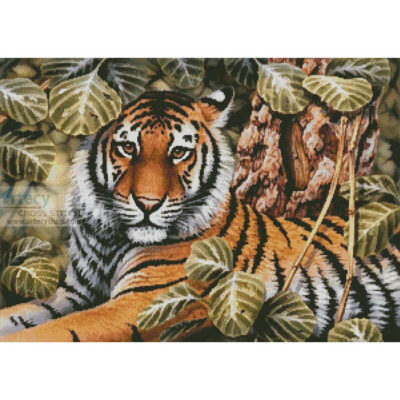 Jungle Tiger (Crop) (Howard Robinson)