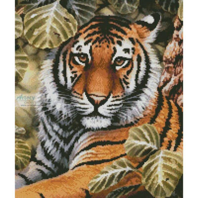 Jungle Tiger (Howard Robinson)