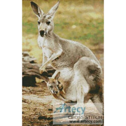 Kangaroo and Joey 2