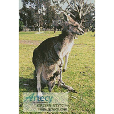 Kangaroo and Joey (Els)