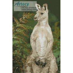 Kangaroo Photo (www.photostogo.com)