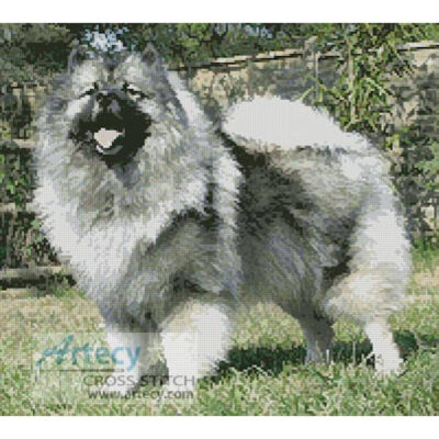 Keeshond