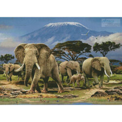 Kilimanjaro Morning (Howard Robinson)