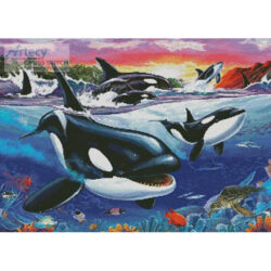Killer Whales (Lorenzo Tempesta)