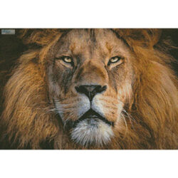 King (Facebook Group) (Ingo Stiller)