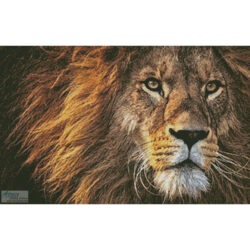 King of the Jungle (Alexas Fotos)