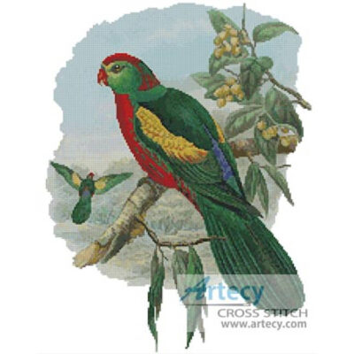 King Parrot 2 (John Gould)