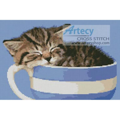 Kitten in a Tea Cup (Greg Cuddiford)