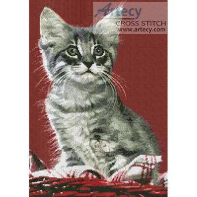 Kitten in Red (www.liquidlibrary.com)