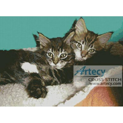 Kittens Photo (C Stoehr)