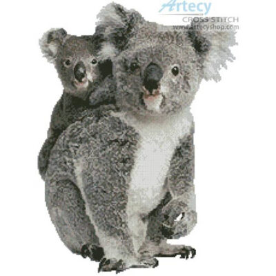 Koala and Joey (Life on White - Alamy)