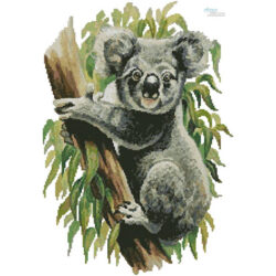 Koala (No Background) (Gerry Forster)