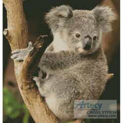 Koala on a Branch (Daphot75 - Fotolia)
