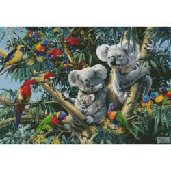 Koala Outback (Steve Read)